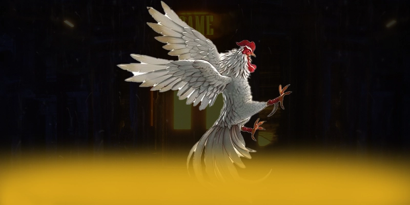 N88 – Thương hiệu phổ biến nhất, được cộng đồng game thủ tin tưởng. N88 – Thương hiệu phổ biến nhất, được cộng đồng game thủ tin tưởng.