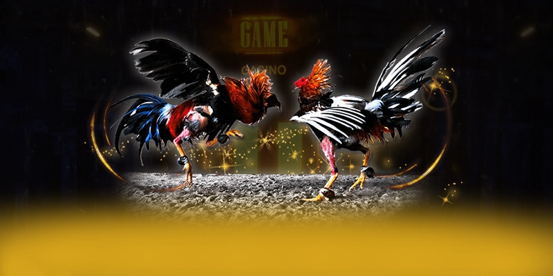 tài xỉu online – Cổng cá cược được đánh giá cao, được cộng đồng đánh giá tích cực. tài xỉu online – Cổng cá cược được đánh giá cao, được cộng đồng đánh giá tích cực.