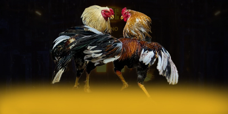 tài xỉu online - Nhà cái được đánh giá cao về độ tin cậy được người chơi tin dùng – Khám phá ngay tài xỉu online tài xỉu online - Nhà cái được đánh giá cao về độ tin cậy được người chơi tin dùng – Khám phá ngay tài xỉu online