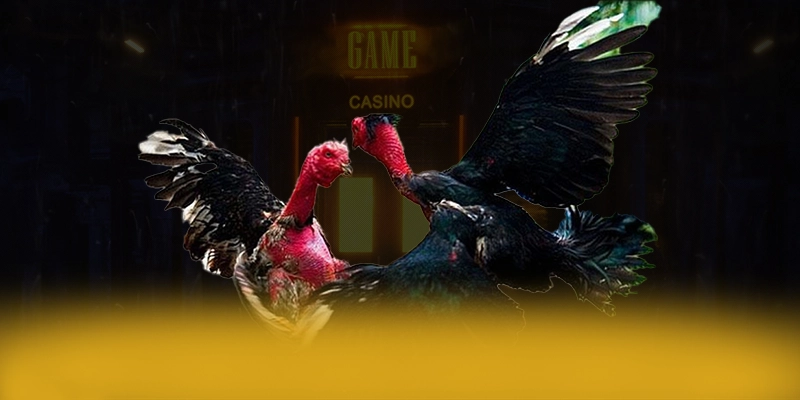 LC88 - Trang game quy tụ nhiều siêu phẩm hot được đánh giá cao – Khám phá ngay các trò chơi tại LC88