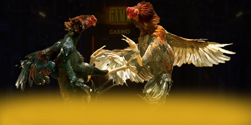 Khám phá N88 - Trang game uy tín số 1 được giới cược thủ tin tưởng
Khám phá N88 - Trang game uy tín số 1 được giới cược thủ tin tưởng