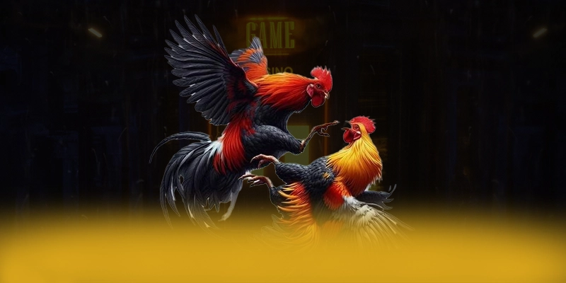 Khám phá hành trình của FC88 - Trang game hàng đầu Việt Nam mới nhất hiện nay
Khám phá hành trình của FC88 - Trang game hàng đầu Việt Nam mới nhất hiện nay