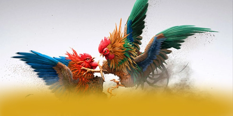 KKWIN - Nhà cái với chương trình tri ân lớn hiện nay – Khám phá phần thưởng khủng từ KKWIN KKWIN - Nhà cái với chương trình tri ân lớn hiện nay – Khám phá phần thưởng khủng từ KKWIN