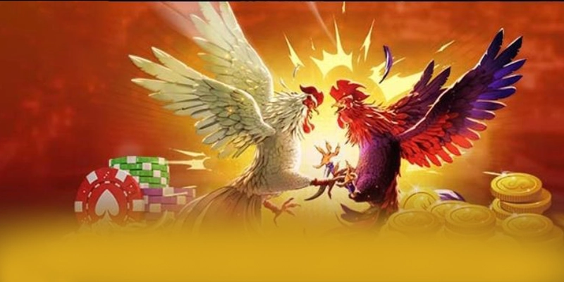 UU88 – Sân chơi có thưởng lớn, đang làm mưa làm gió trên thị trường.