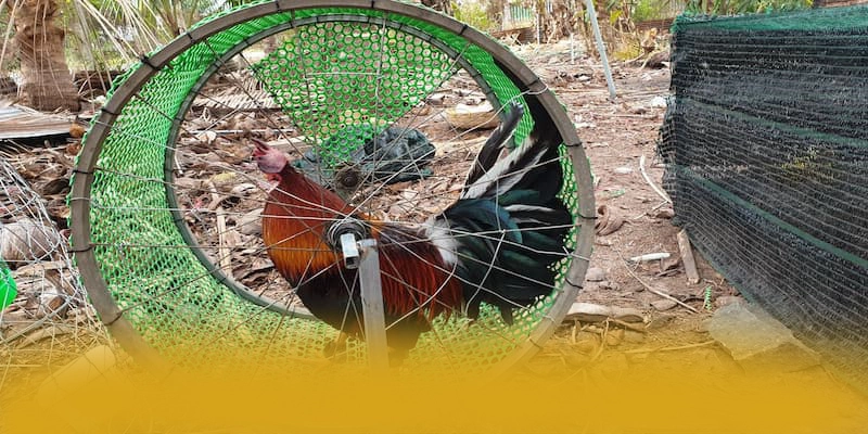 KKWIN - Cổng game bảo mật cao được đánh giá cao – Khám phá cơ chế bảo mật hiện đại tại KKWIN KKWIN - Cổng game bảo mật cao được đánh giá cao – Khám phá cơ chế bảo mật hiện đại tại KKWIN